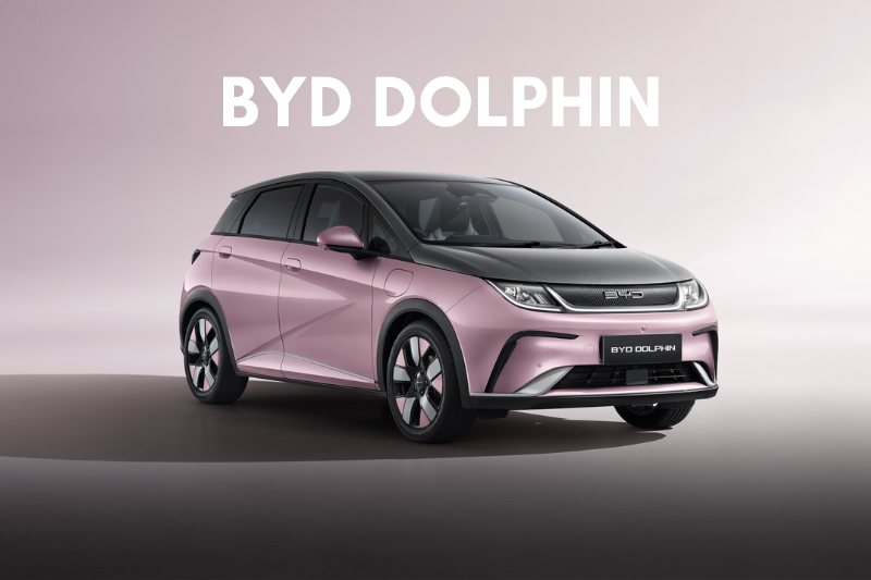 byd-dolphin