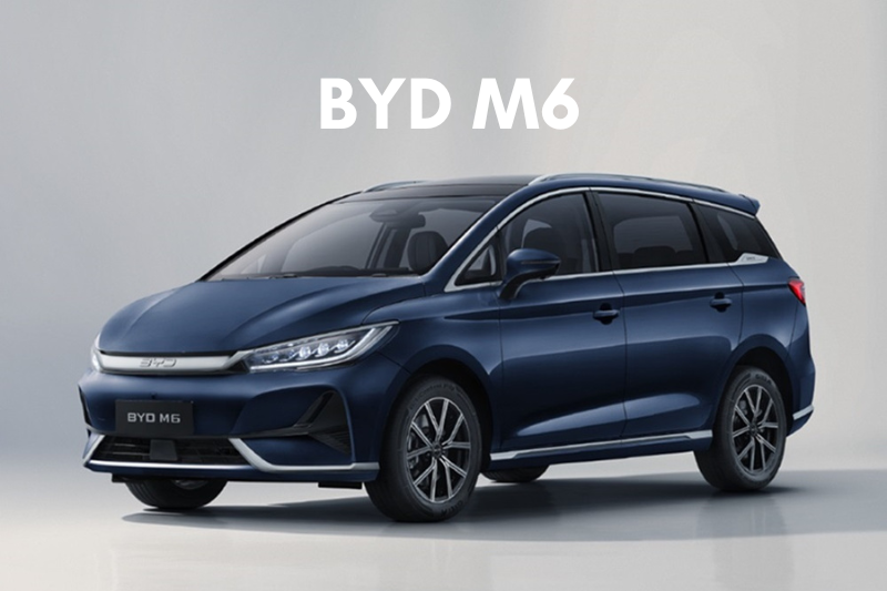 byd-m6